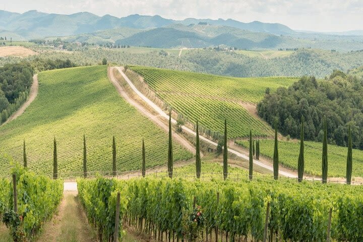 transfer Rome to Venice with stop for wine tasting in Chianti region  image