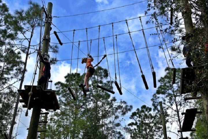 Orlando Tree Trek Adventure Park image