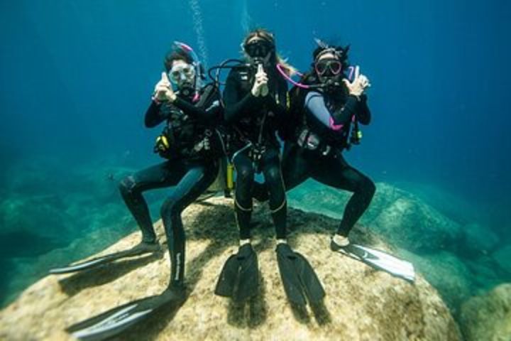 Professional Diving Full Day Trip ( Two dives & Wreck SCUBA equipment)- Hurghada image