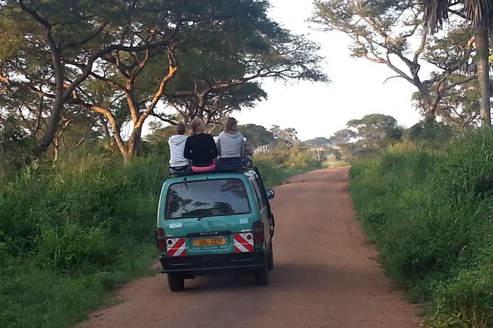 Day-Trip to Murchison Falls from Masindi image