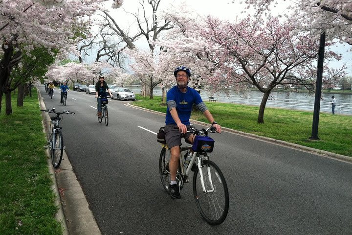 Exclusive: Cherry Blossom Bike Tour in Washington DC image