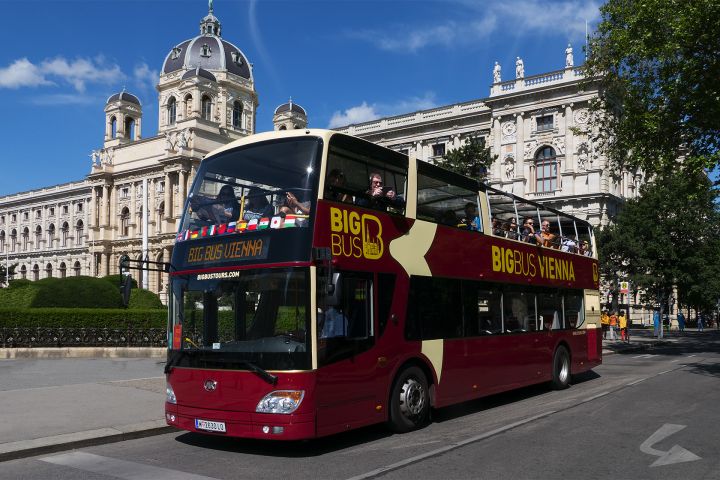 Best of Vienna: 3-in-1 Pass image