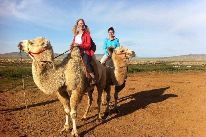 Overnight Semi-Gobi Tour Including Lunch And Free Camel or Horseback Ride image