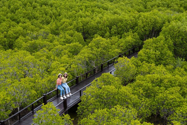 Pranburi Mangrove Swamp and River Cruise image
