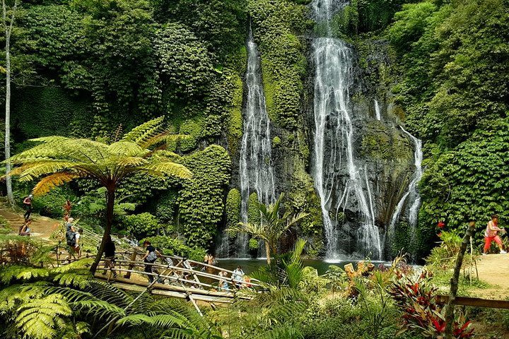 The Best Bali Waterfall Tour (All Inclusive) image