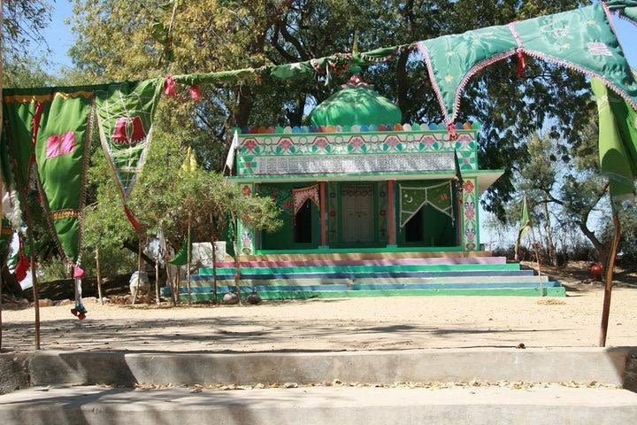 Trip to Thar Desert & Nagarparkar  image