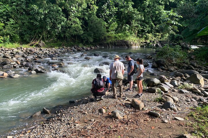 Natural Walk to River Pool and Luquillo Beach Combo image