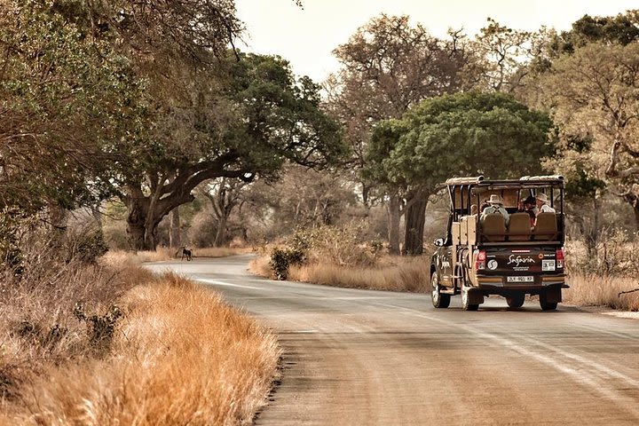 Kruger National Park Afternoon Sunset Safari Tour image