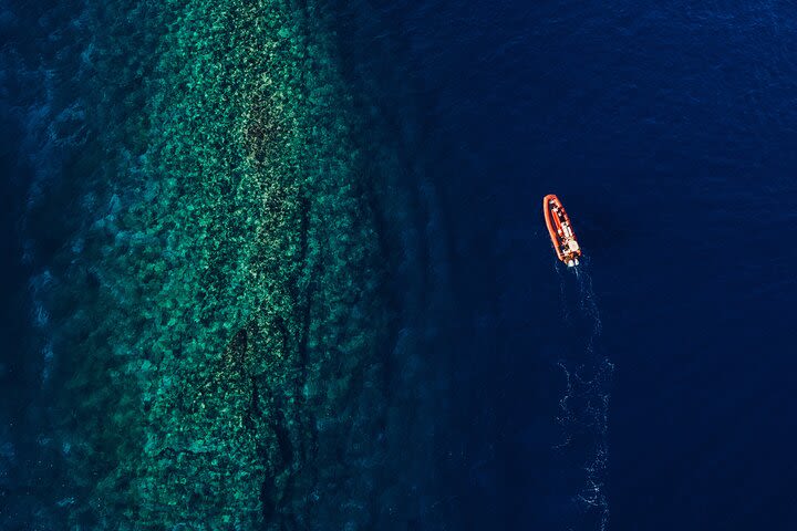 Molokini Crater and South Maui Coast Adventure from Kihei image