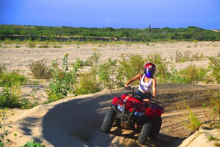 Cabo ATV and Horseback Riding Combo Experience in Migriño  image