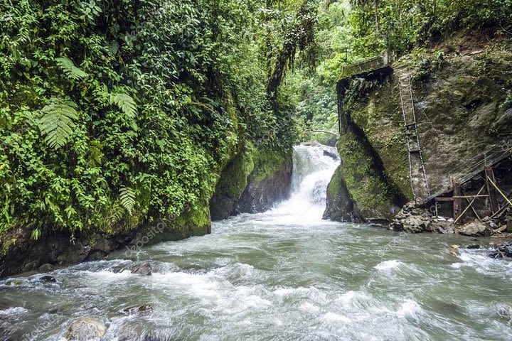 Mindo from Quito - Private Tours image