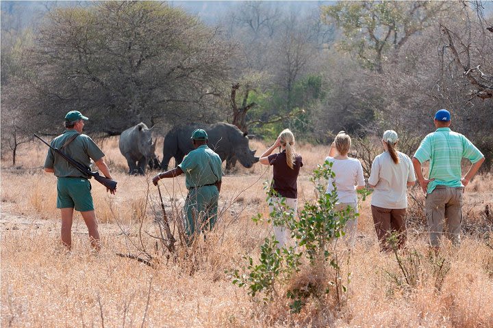 Private Rhino Encounter Walking Tour image