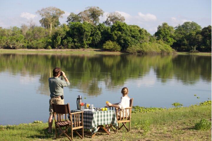 3 days Nyerere National Park Private Safari image