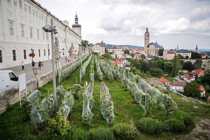 1 day Unesco private wine experience in Kutna Hora image