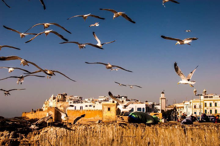 Private Full Day Tour to Essaouira Mogador from Marrakesh image