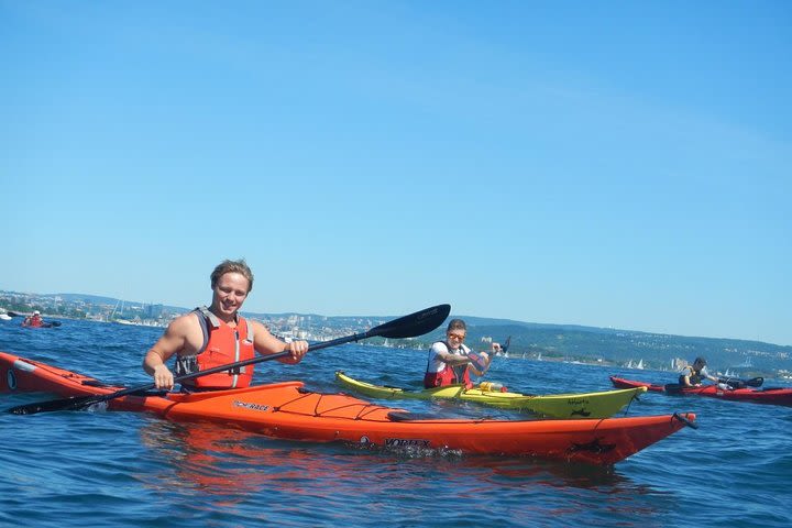 3- Hour Kayak Tour on the Oslofjord image