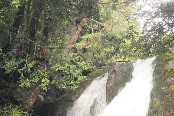 Mapuche experience in the mountain image