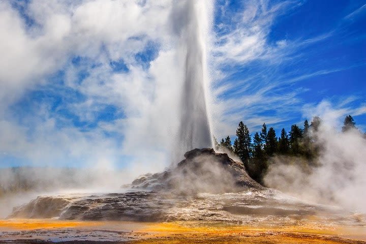 All-Day Private Tour of Yellowstone National Park image