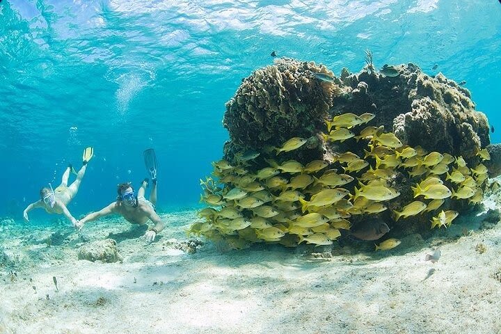  Cozumel Primetime From Playa del Carmen  image