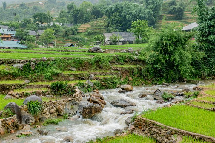 Sapa, Muong Hoa Valley - 1 Day Hiking & Cultural Experience image