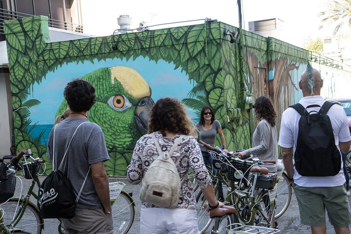 St Pete Art and Mural Biking Tour image