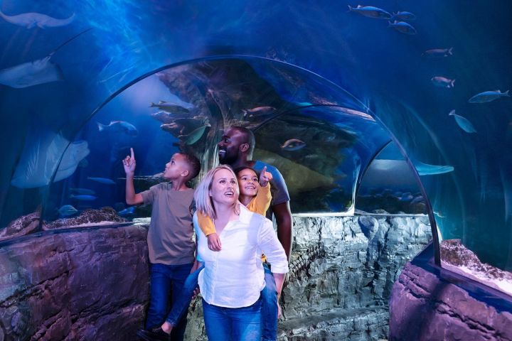 LEGOLAND California Theme Park Tickets image