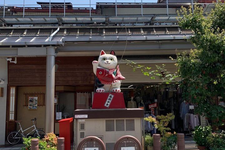 Takayama oldtownship walking tour with local guide. (About 70min) image