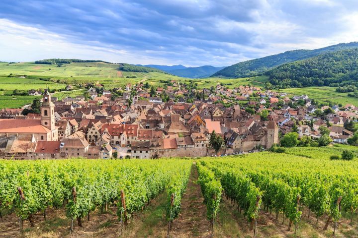 Gems of Alsace Full Day Trip from Colmar (Private) image