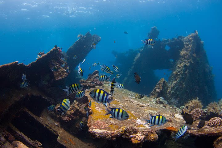 USS Liberty Shipwreck Scuba Diving at Tulamben Bali image