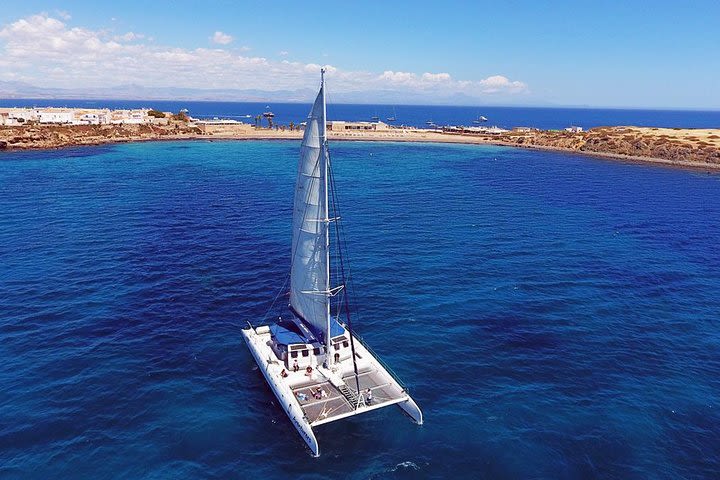 Isla de Tabarca Sailing Tour from Alicante image