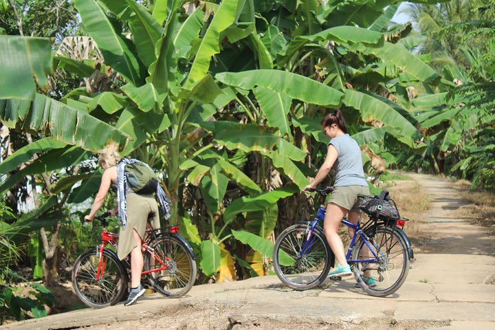 Mekong Delta 1 Day With Biking image