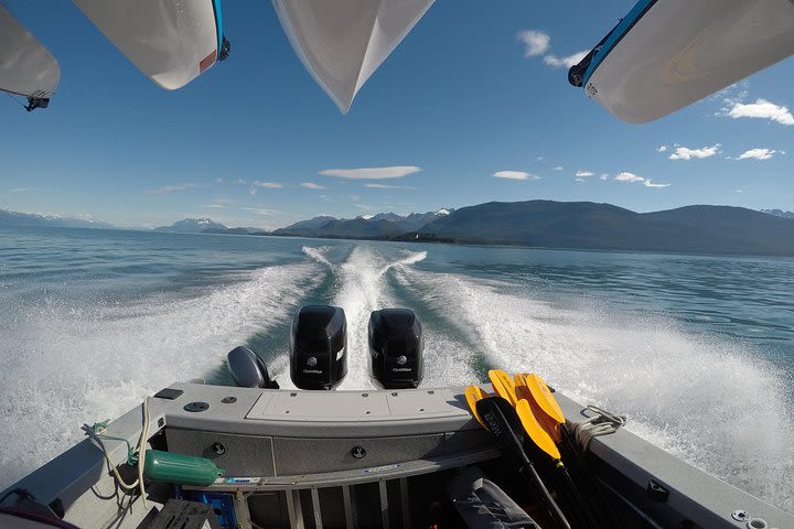 Paddle with Whales! Kayak Adventure image