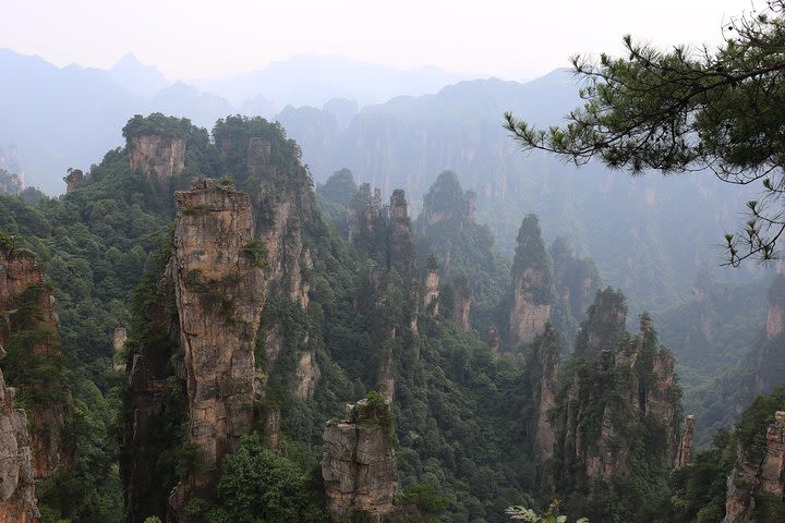 Zhangjiajie Park Avatar Mountain & Zhangjiajie Glass Bridge Day Tour image