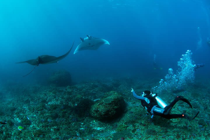 Bali Hai - PADI Advance Open Water Course in Lembongan image