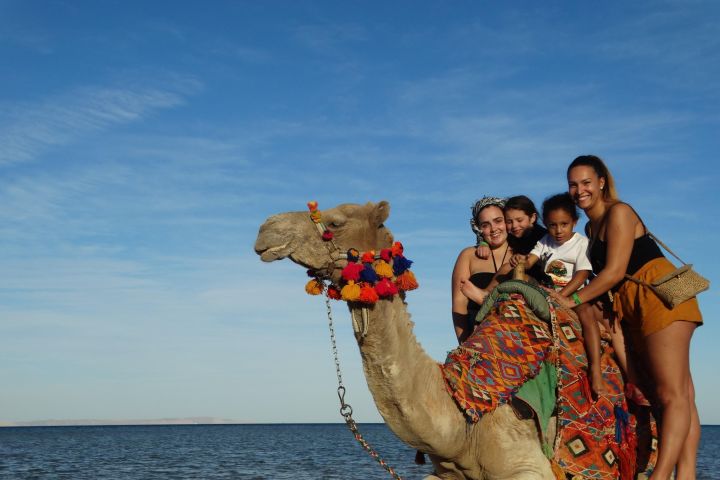 Marsa Alam Desert Camel Ride image