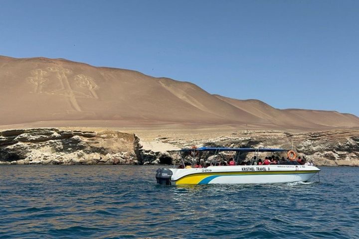Ballestas Islands Boat Tour from San Martin Port image