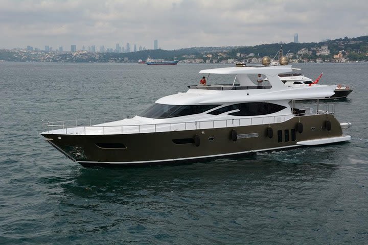 Sightseeing on Bosphorus With a Private Yacht From Istanbul image