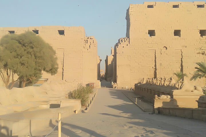 Luxor East bank half day tour  image