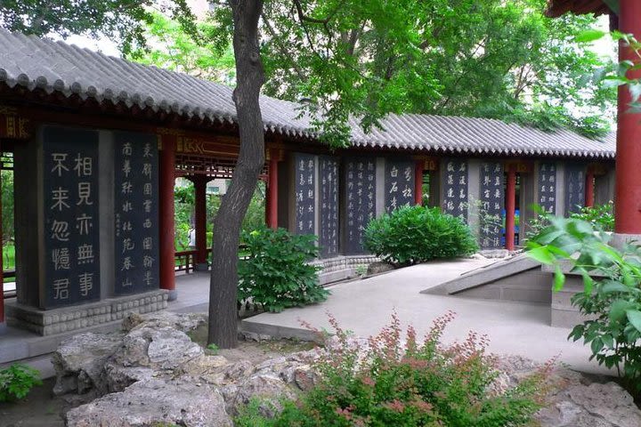 Shaanxi History Museum, Xi'an Museum, Stele Forest Museum Day Tour image