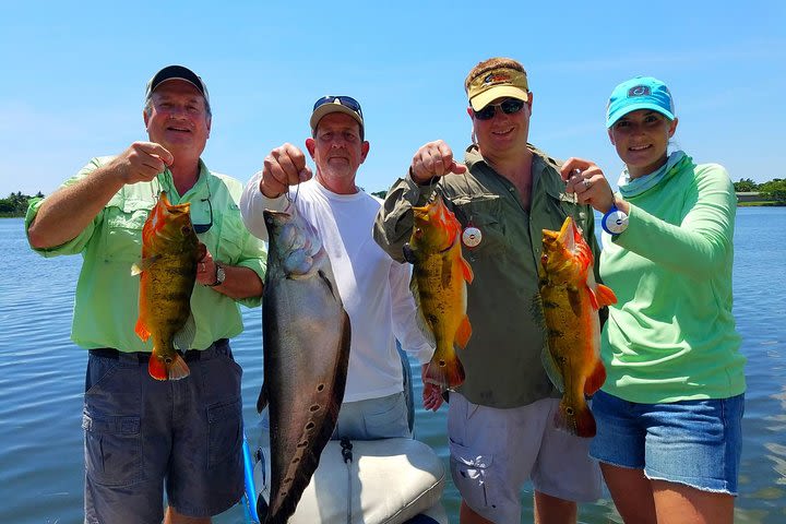 Peacock Bass Fishing Trips near Boca Raton image