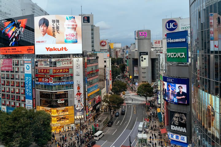 The Ultimate Private Layover Tokyo Tour with a Local image