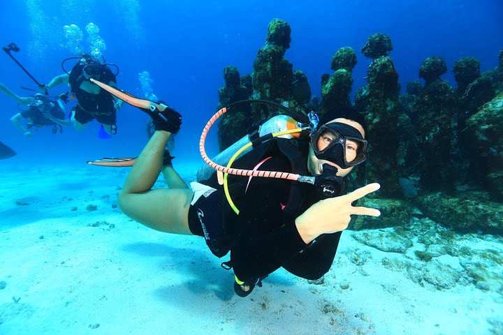 Experience Diving Under Water Museum and Reef for beginners image