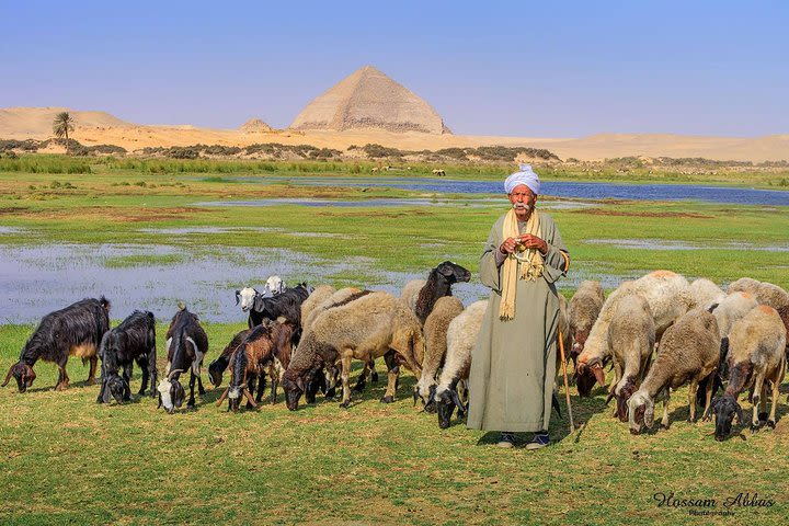 Full-Day Tour to Giza Pyramids, Saqqara and Memphis with lunch image