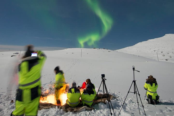 Small group Aurora Chases - When the Sky becomes Magic image