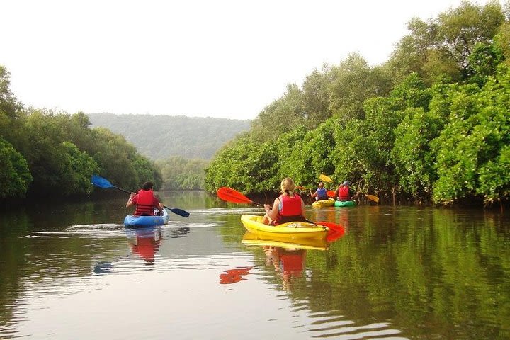 Goa Kayaking in Spike's River image