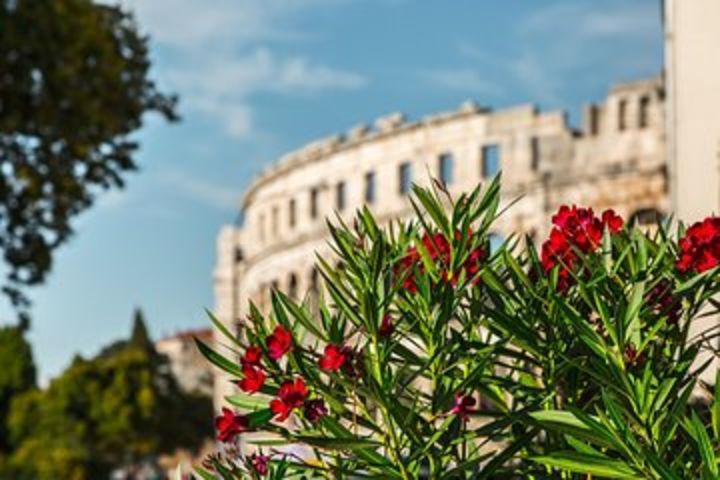 ROME: The great Colosseum guided tour in 3h image