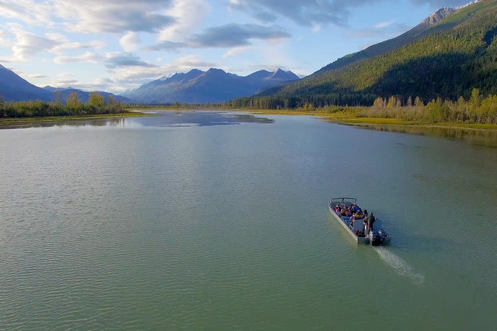 Jet Boat Adventure and Raptor Expedition - Haines Departure image