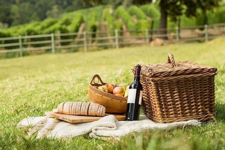 Saturnia and Picnic at sunset in the middle of the vineyards image