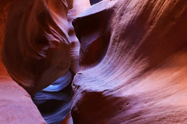 East Zion Crimson Canyon Hike & UTV Adventure image