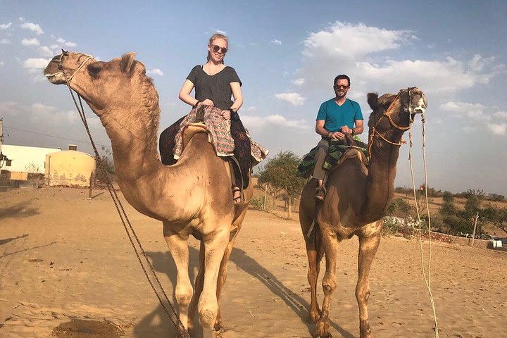 Camel Safari Half Day Tour In Jodhpur image